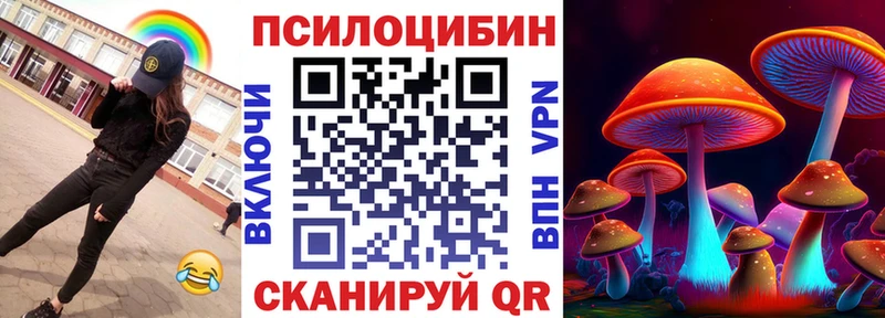 продажа наркотиков  Мурино  Псилоцибиновые грибы GOLDEN TEACHER 